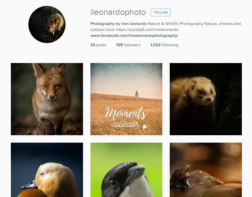 Inês Leonardo Instagram