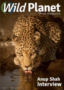 Wild Planet Photo Magazine March 2017 cover