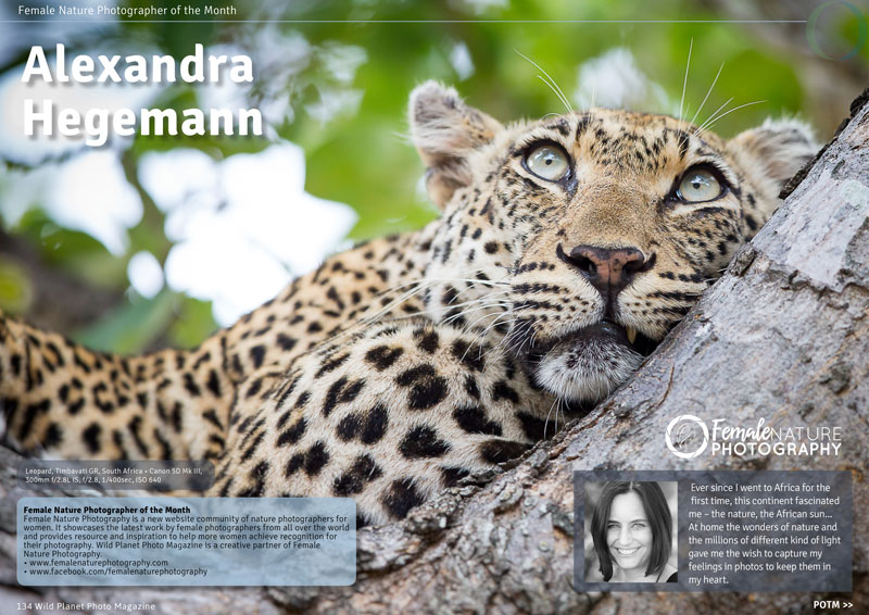 alexandra-hegemann-leopard-africa