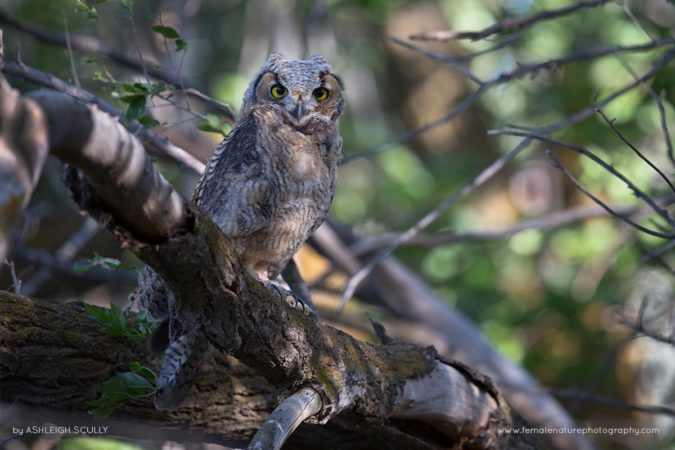 Ashleigh-Scully-FNP-8