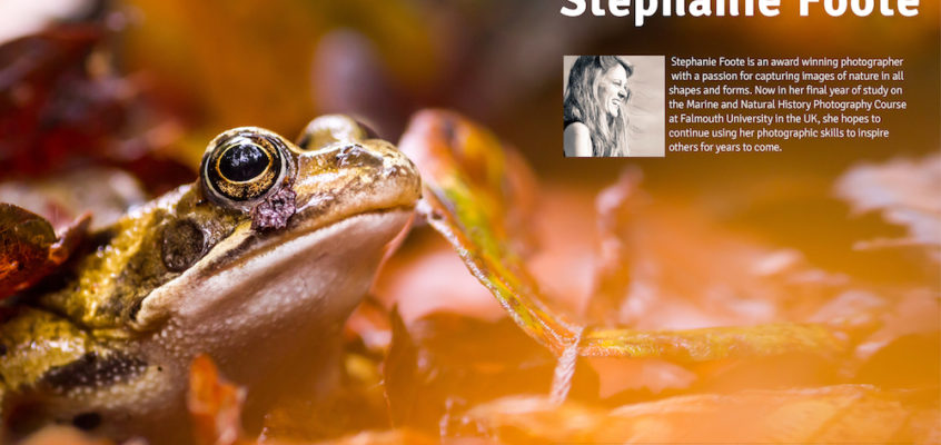 Female nature photographer of the month April 2017 Stephanie Foote