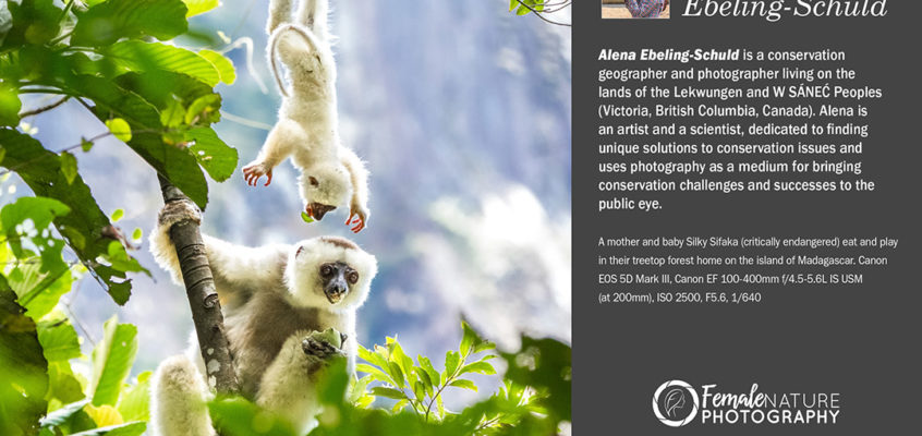 Female Nature Photographer of the Month - March 2018 - Alena Ebeling-Schuld