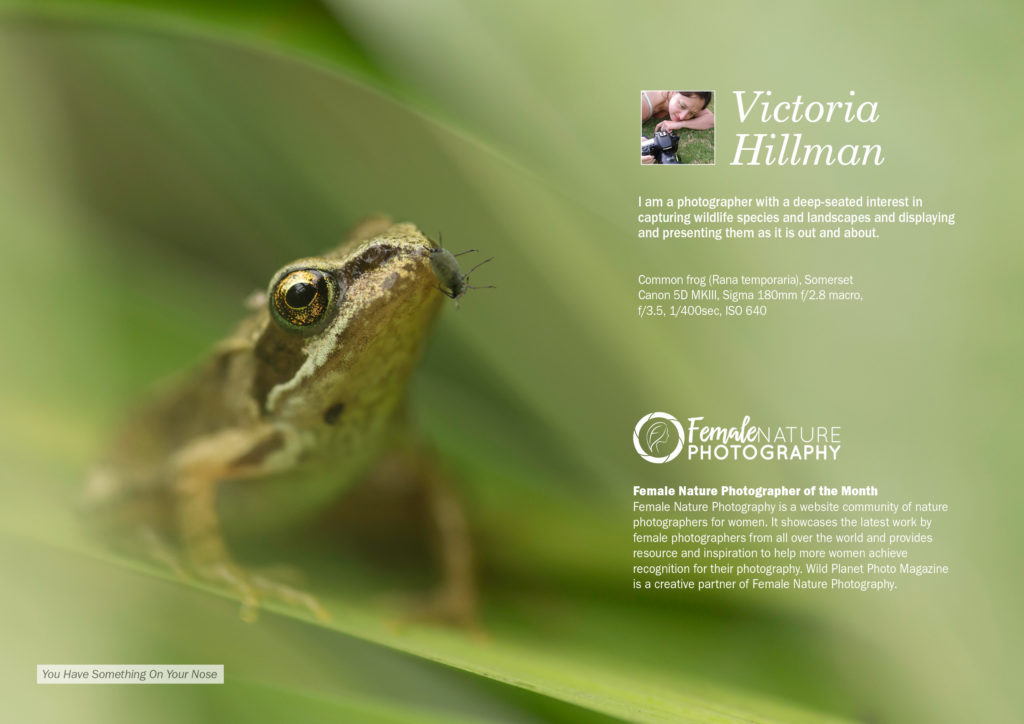 Female Nature Photographer of the Month - October 2018 - Victoria Hillman